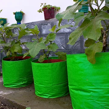 Grow Bags