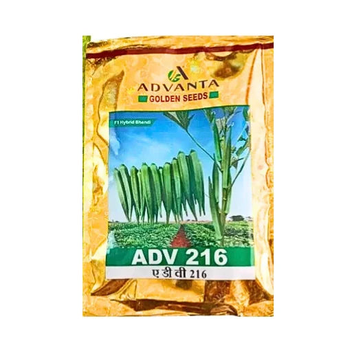 Advanta Golden ADV 216 F1 Hybrid Bhendi Seeds