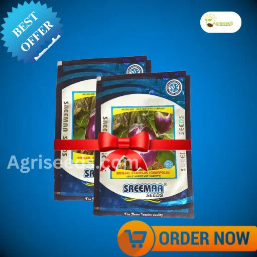 New Sreemaa Bluestar Brinjal Seeds