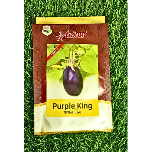 F1 Hybrid  Purple King Seeds