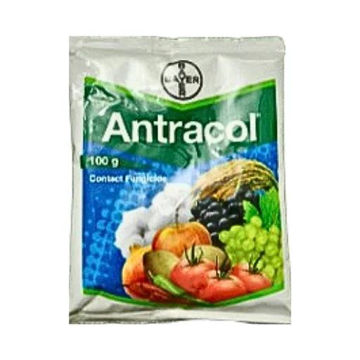 Bayer Antracol