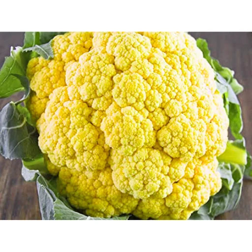 Agriseeds Megha F1 Hybrid Broccoli Seeds 129 Pis