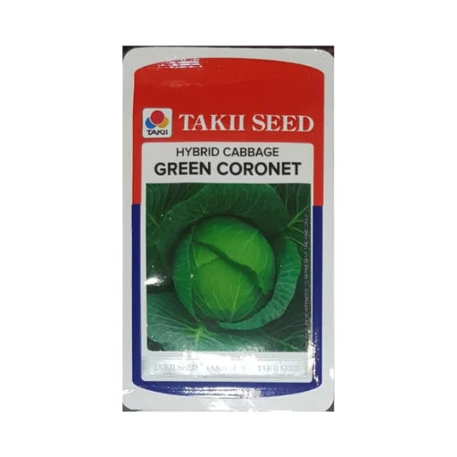 Takii Green Coronet Hybrid cabbage Seeds