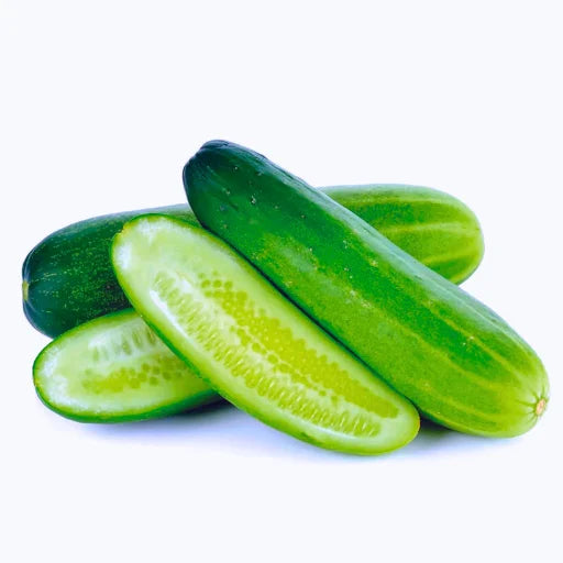 Agriseeds Rekha F1 Hybrid Cucumber Seeds 129 Pis