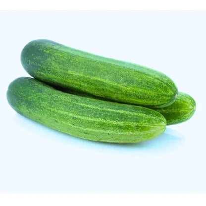 Agriseeds Jyoti F1 Hybrid Cucumber Seeds 129 Pis