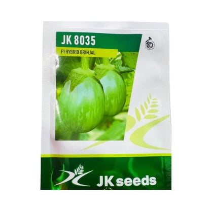 JK 8035 F1 Hybrid Brinjal Seeds