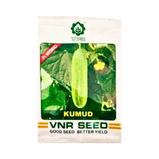 Vnr Kumud F1 Hybrid Seeds