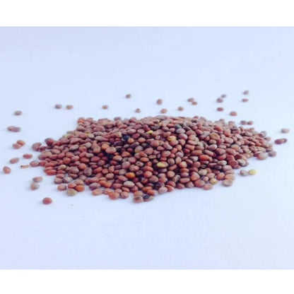 Agriseeds Rekha F1 Hybrid Radish Seeds 129 Pis