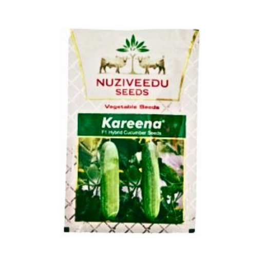 Nuziveedu F1 Hybrid Cucumber Vegetable Seeds