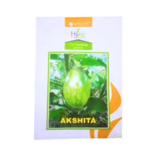 New Acsen Hyveg Akshita F1 Hybrid Brinjal Seeds