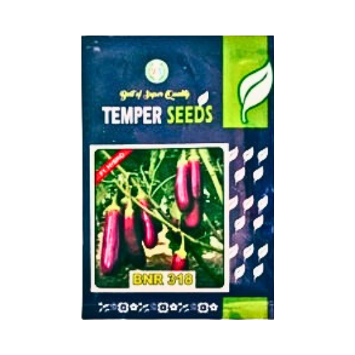 Temper F1 Hybrid Brinjal Bnr 318 Seeds