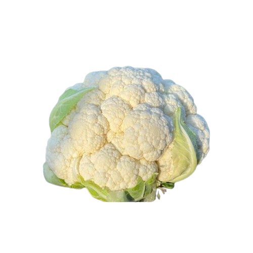 VNR ARPITA F1 HYBRID CAULIFLOWER SEEDS