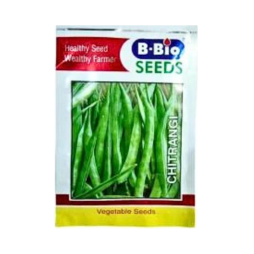 B-Bio Chitrangi Bean Seeds