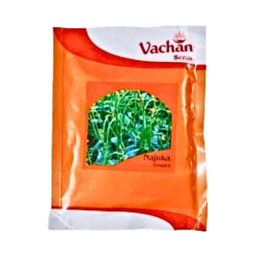 Vachan Najuka Cowpea Seeds