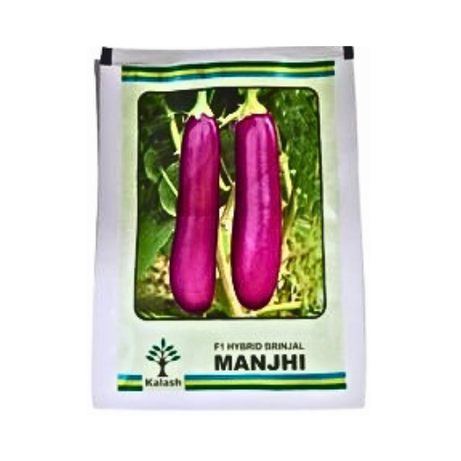 Kalash Manjhi F1 Hybrid Brinjal Seeds