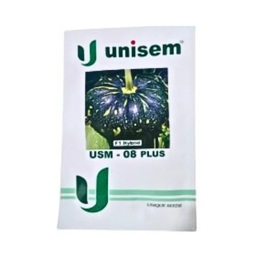 Unisem USM-08 Plus F1 Hybrid Pumpkin Seeds