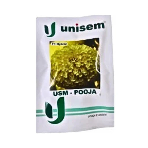 USM-Pooja F1 Hybrid Flower Seeds