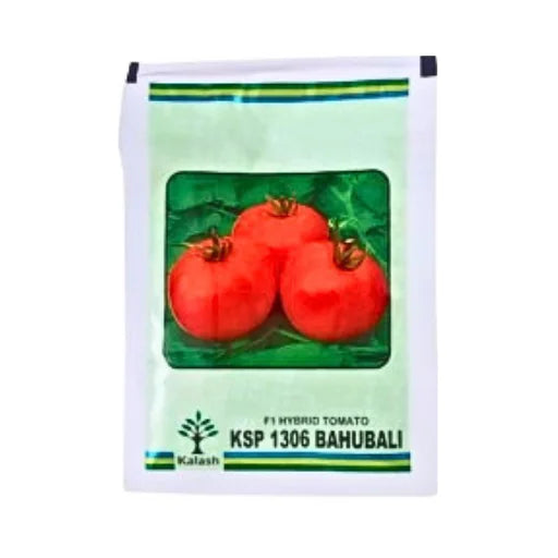 Kalash KSP-1306 Bahubali F1 Hybrid Tomato Seeds