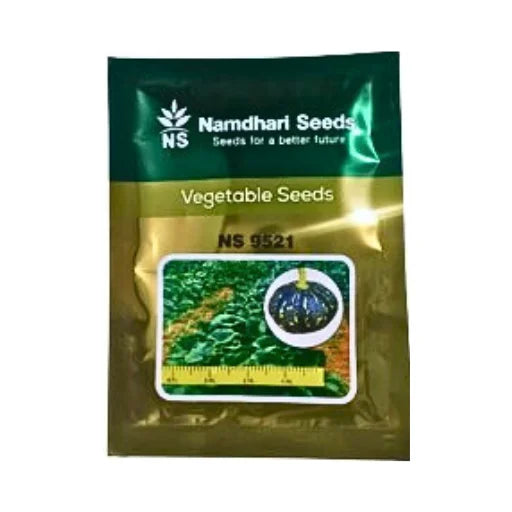 Namdhari Ns 9521 F1 Hybrid Pumpkin Vegetable Seeds