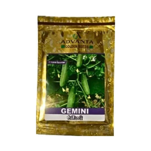 Advanta Golden Gemini F1 Hybrid Cucumber Seeds