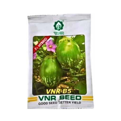 Vnr VNR-B5 F1 Hybrid Brinjal Seeds