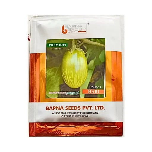 Bapana BHHB 22 Hari Premium Hybrid Brinjal Seeds