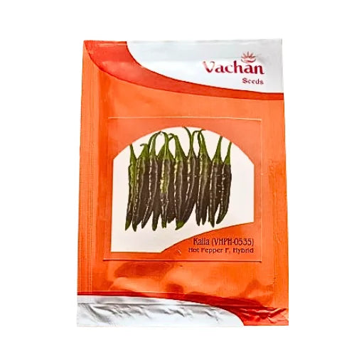 Vachan Kalia Vhph-0535 Hot Pepper F1 Hybrid Seeds