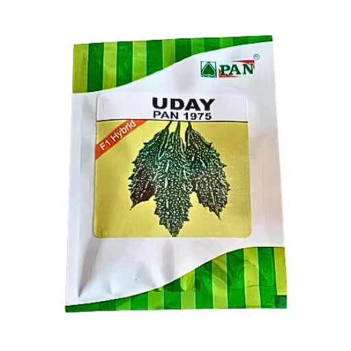 Uday Pan 1975 F1 Hybrid Bitter Gourd Seeds