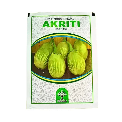 Kalash Akriti Ksp 1456 F1 Hybrid Brinjal Seeds