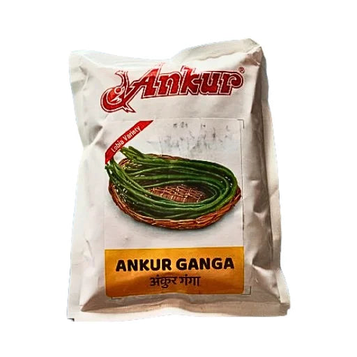 Ankup Ganga Lobia Variety Seeds