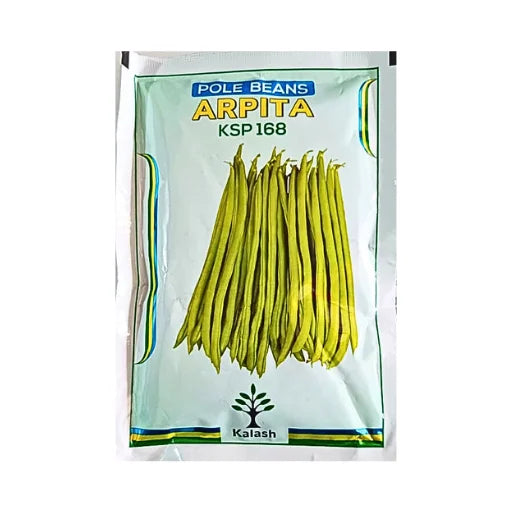 Kalash Arpita Ksp 168 Pole Beans Seeds