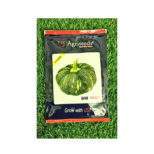 Sw1001 f1 Hybrid Pumpkin Seeds