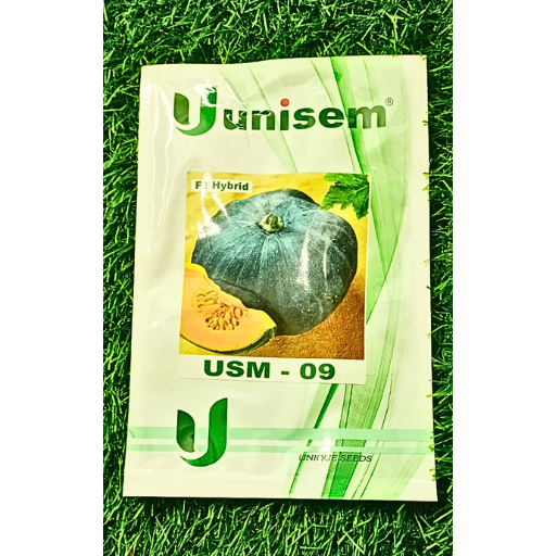 Uunisem Usm-09 F1 Hybrid Pumpkin