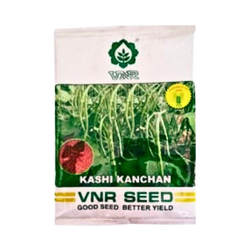 Vnr Kashi Kanchan Cowpea Seeds