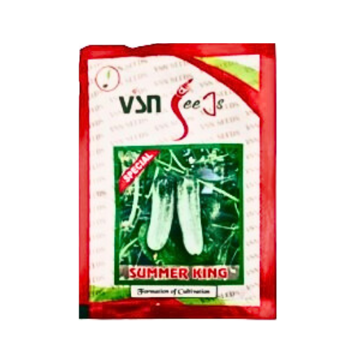 Vsn  Summer cucumber Special King Seeds